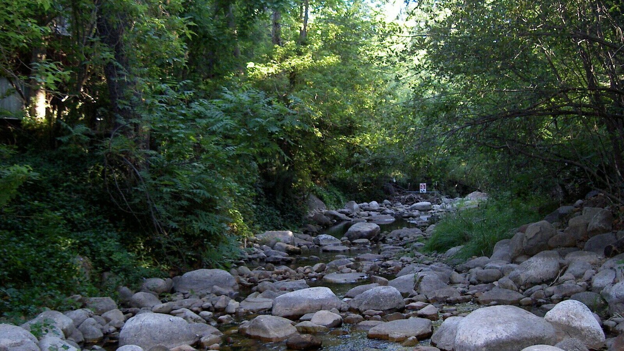 Photo of Outdoor in Christopher Creek