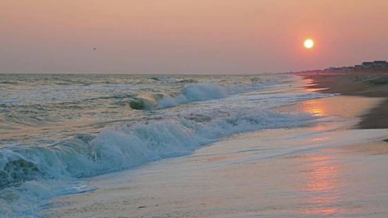 Photo of Others in Morehead City