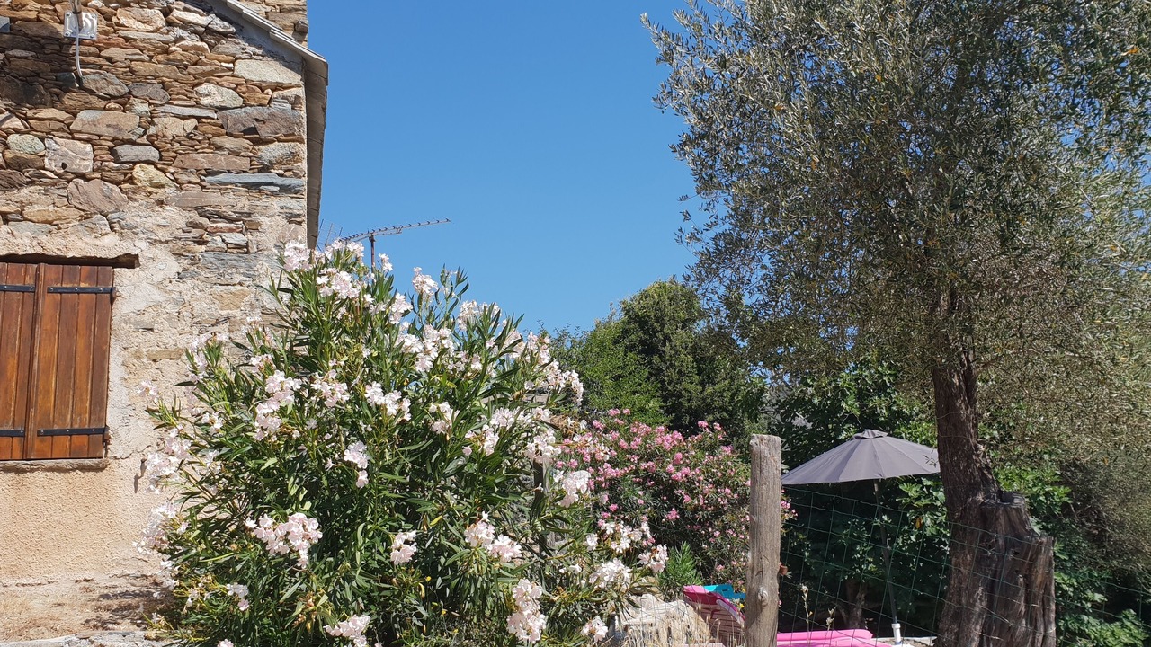 Photo of Outdoor in Cambia