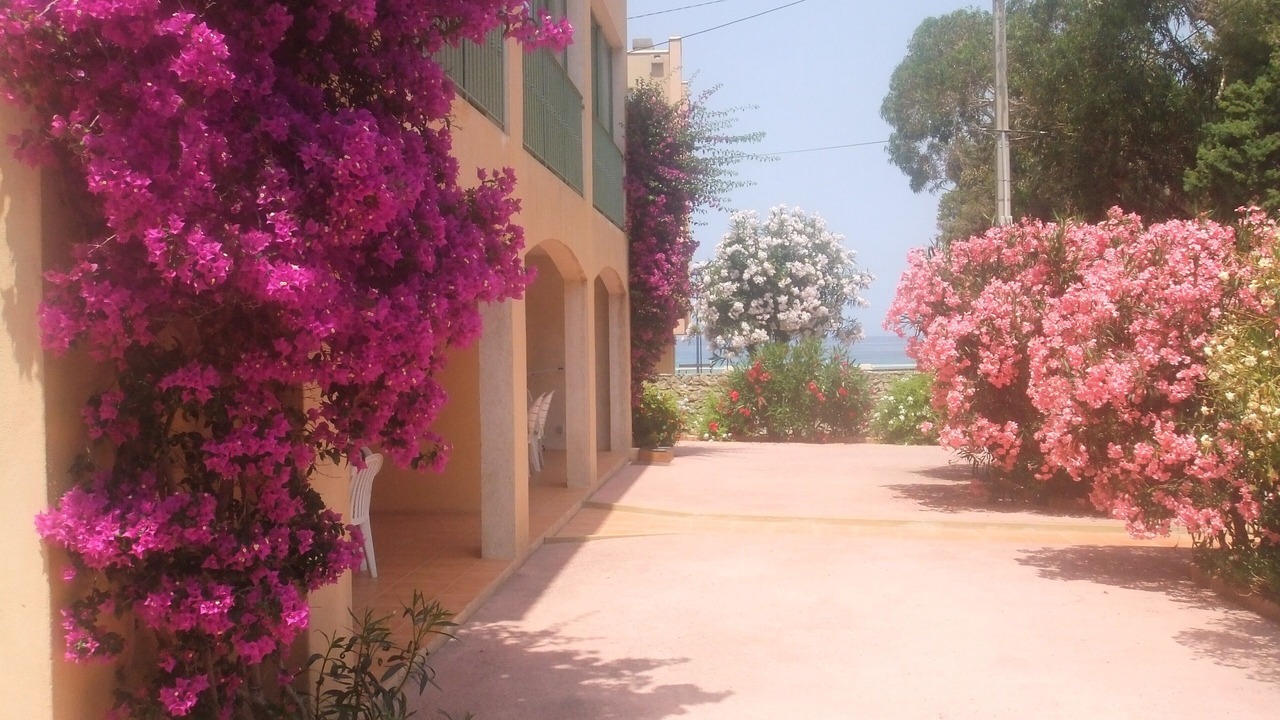 Photo of Outdoor in L'Ile-Rousse