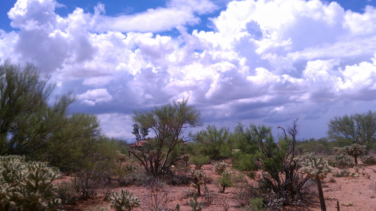 Photo of Others in Tucson
