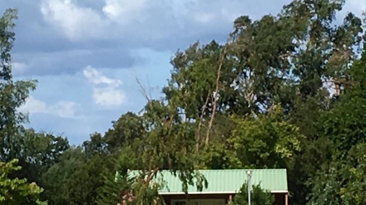 Photo of Outdoor in Aregno