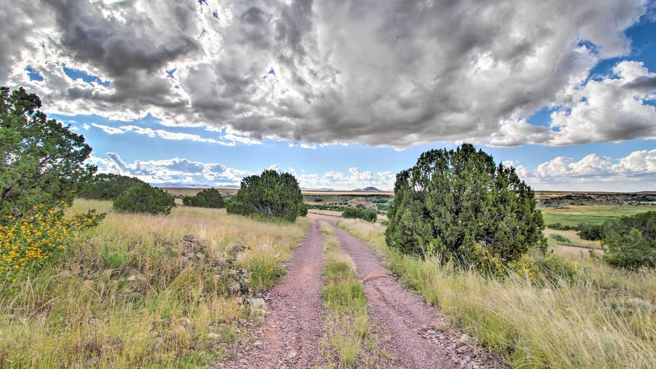 Photo of Outdoor in Springerville