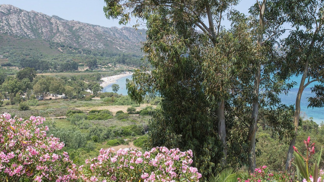 Photo of Outdoor in Saint-Florent