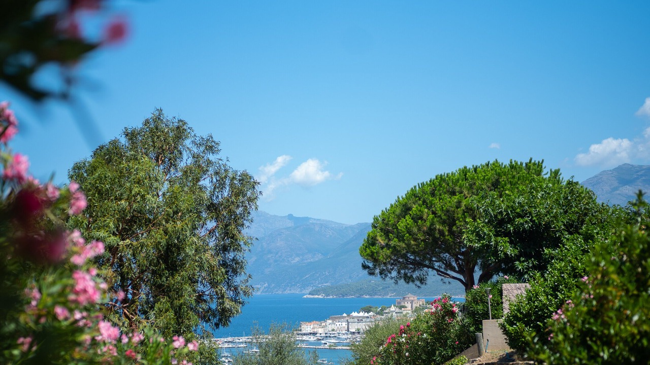 Photo of Others in Saint-Florent