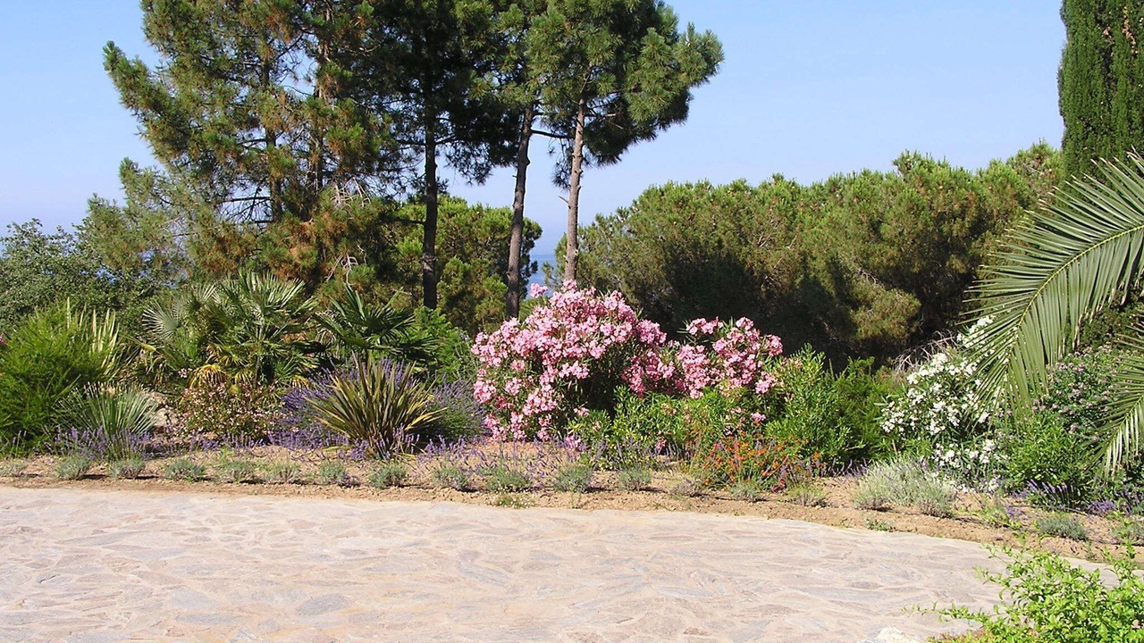 Photo of Outdoor in Marine de Davia