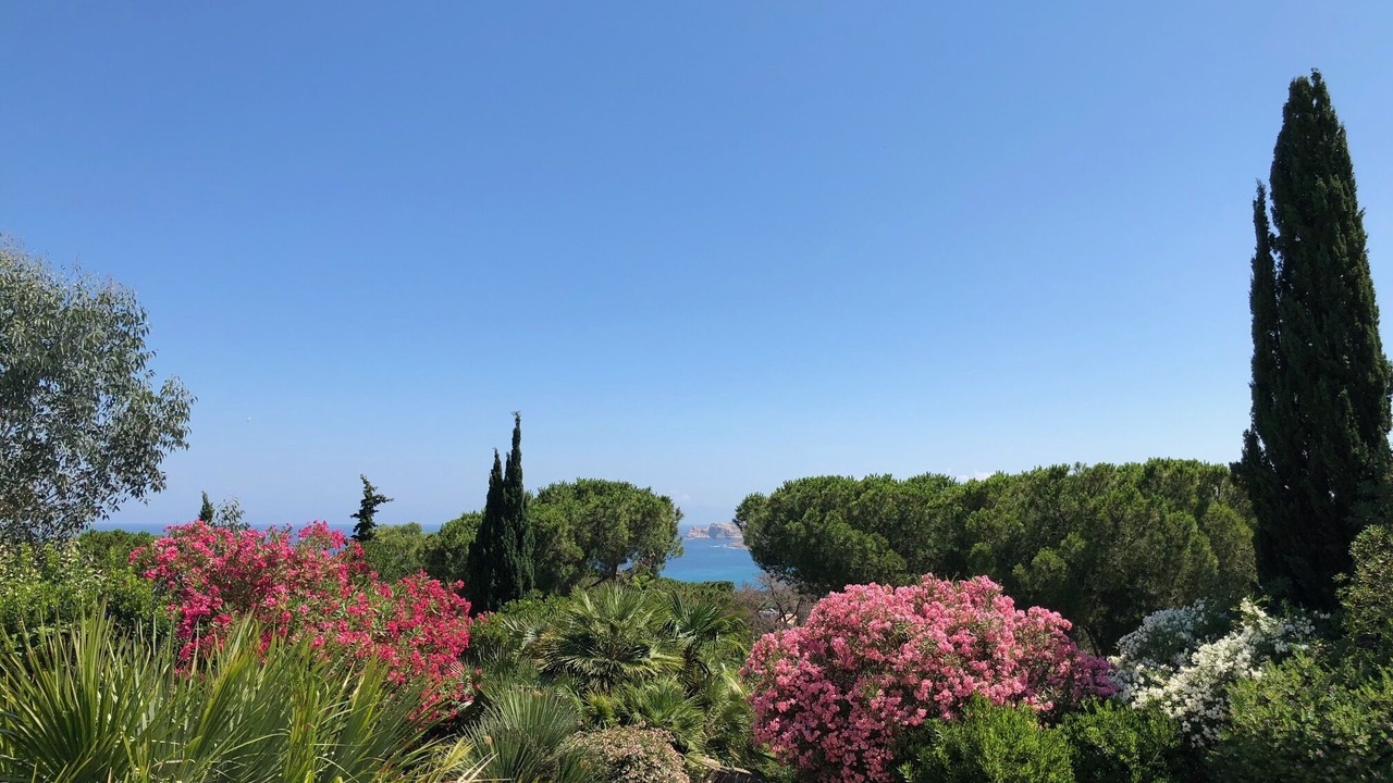 Photo of Outdoor in Marine de Davia