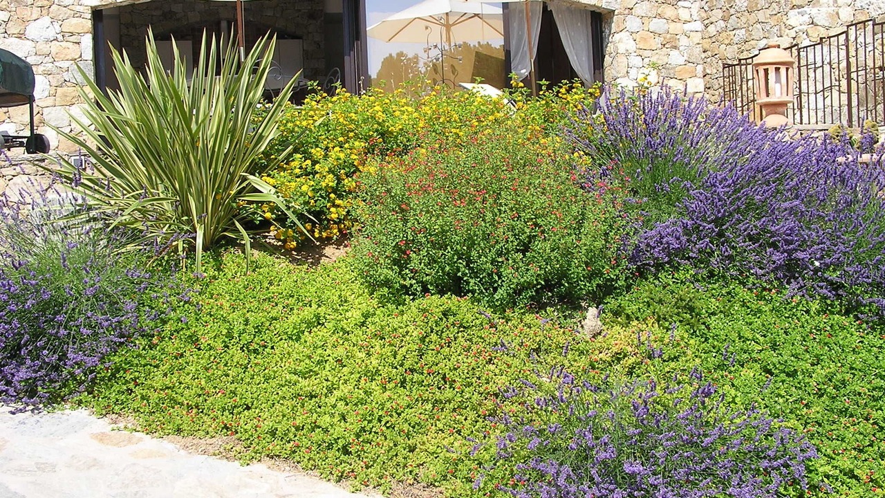 Photo of Outdoor in Marine de Davia