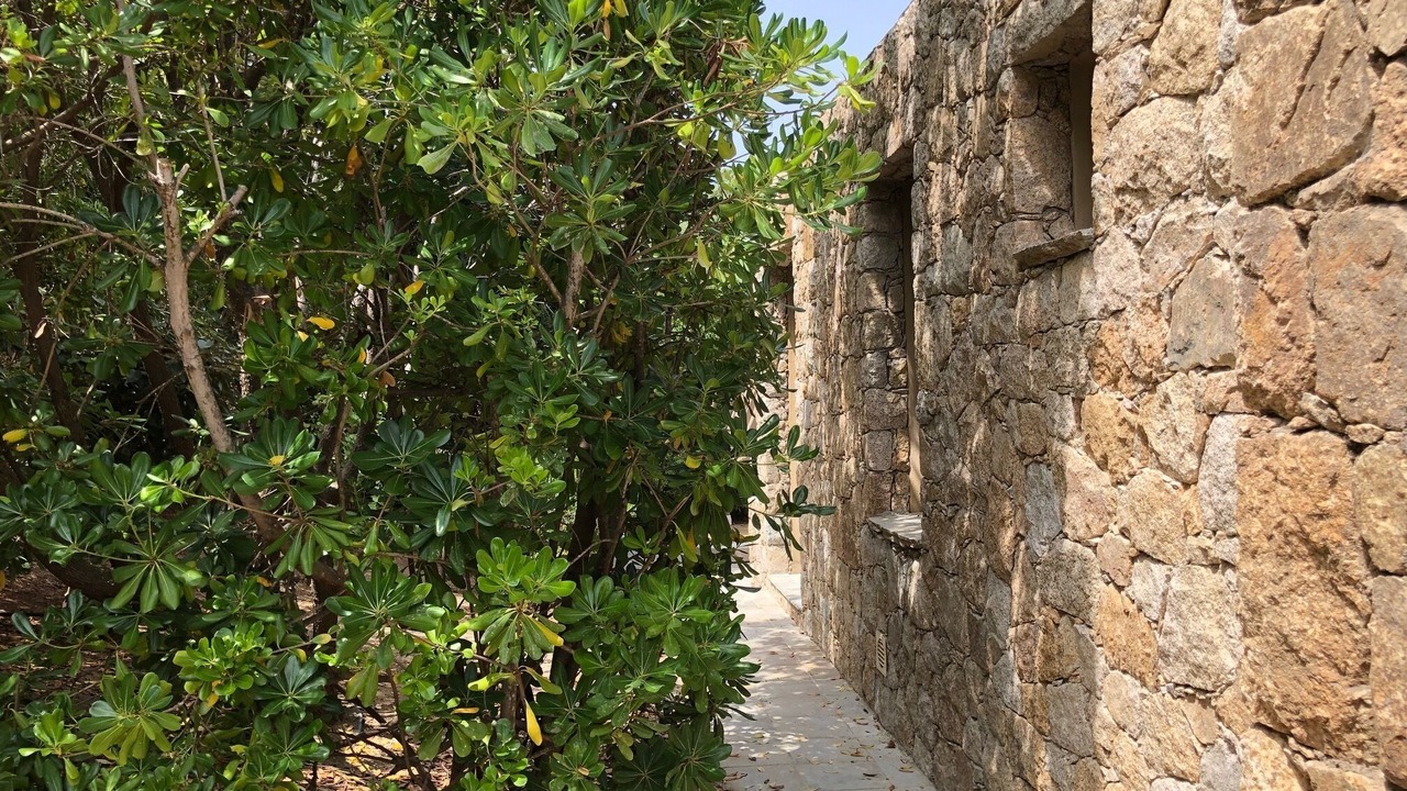 Photo of Outdoor in Marine de Davia