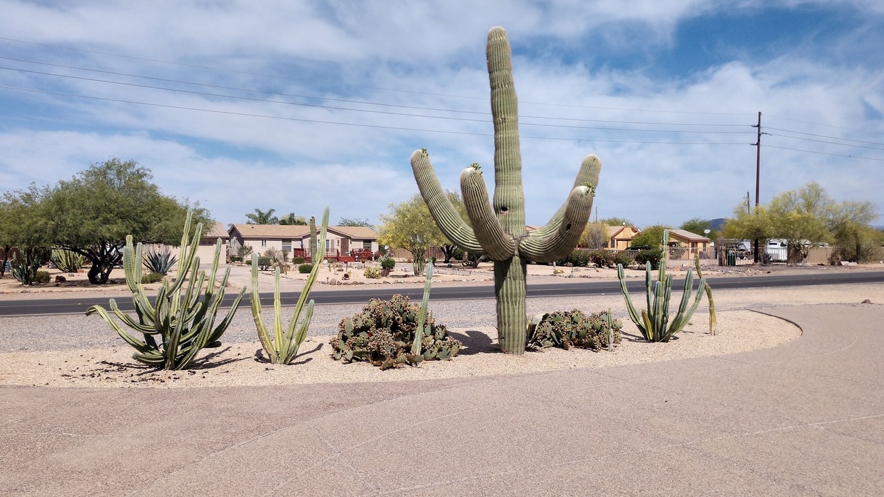 Photo of Others in Desert Hills