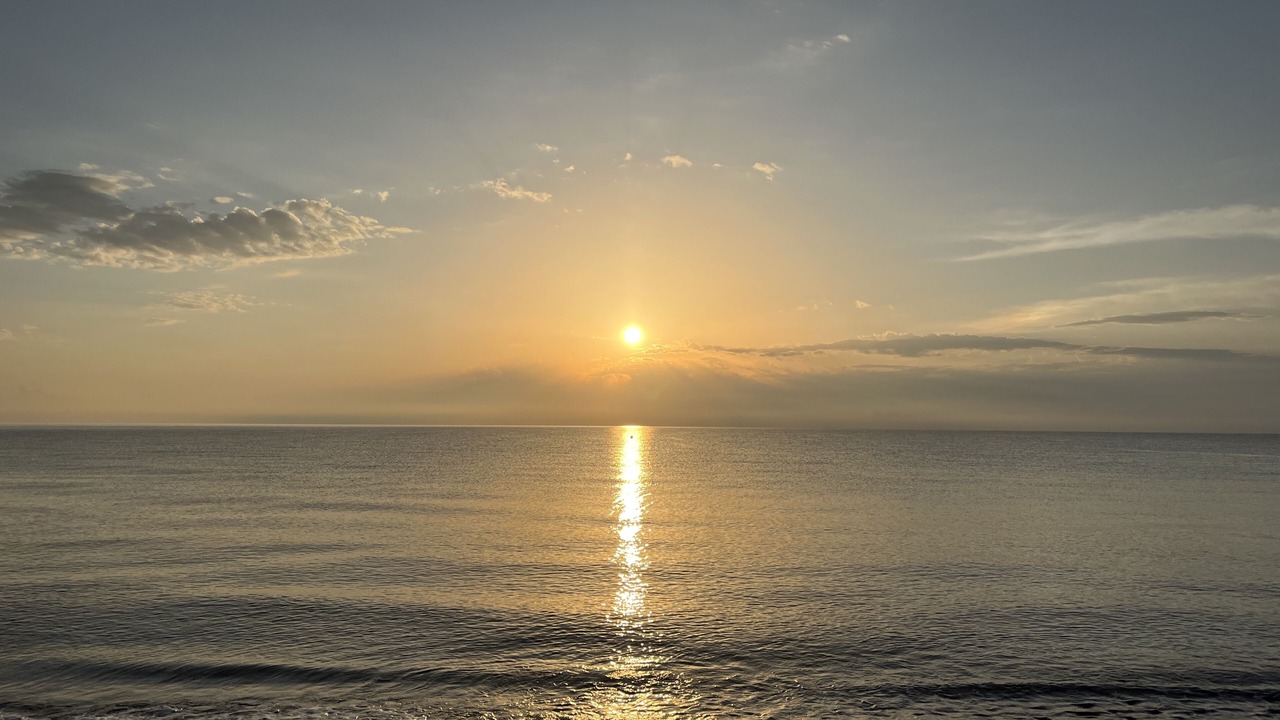 Photo of Others in Santa-Lucia-di-Moriani