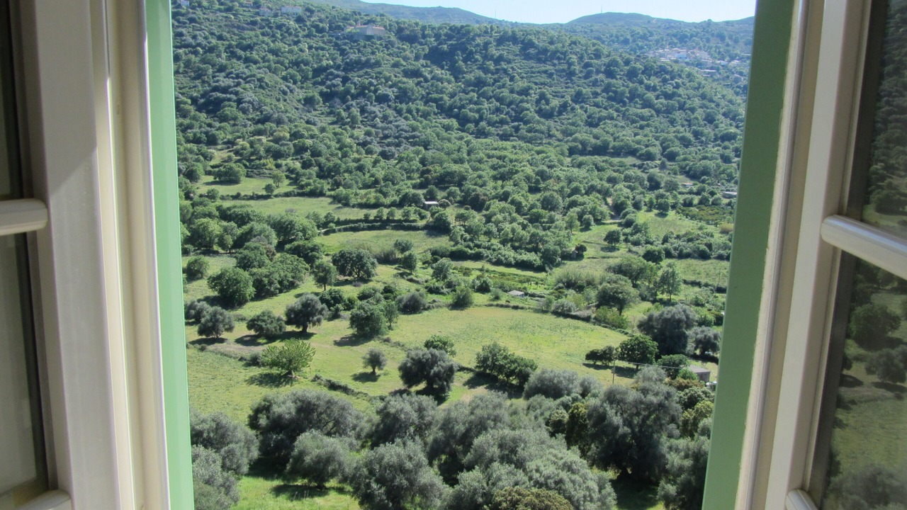 Photo of Others in Aregno