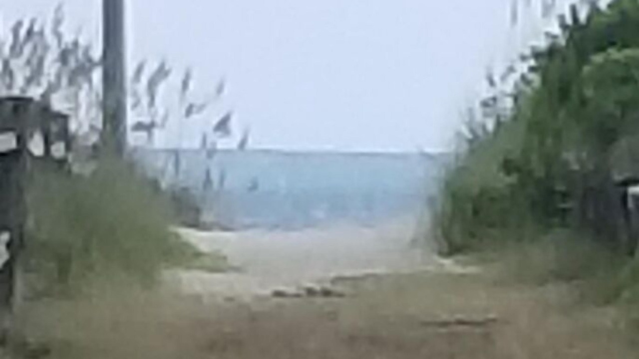 Photo of Others in Atlantic Beach