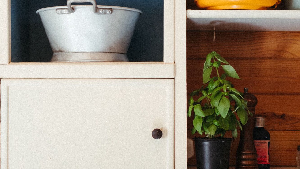 Photo of Kitchen in Santa-Maria-Figaniella