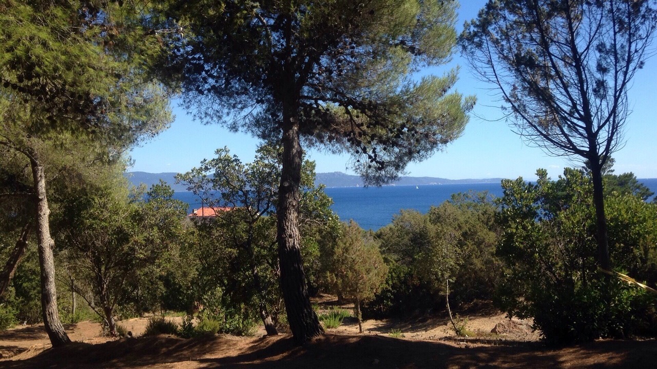Photo of Outdoor in Coti-Chiavari