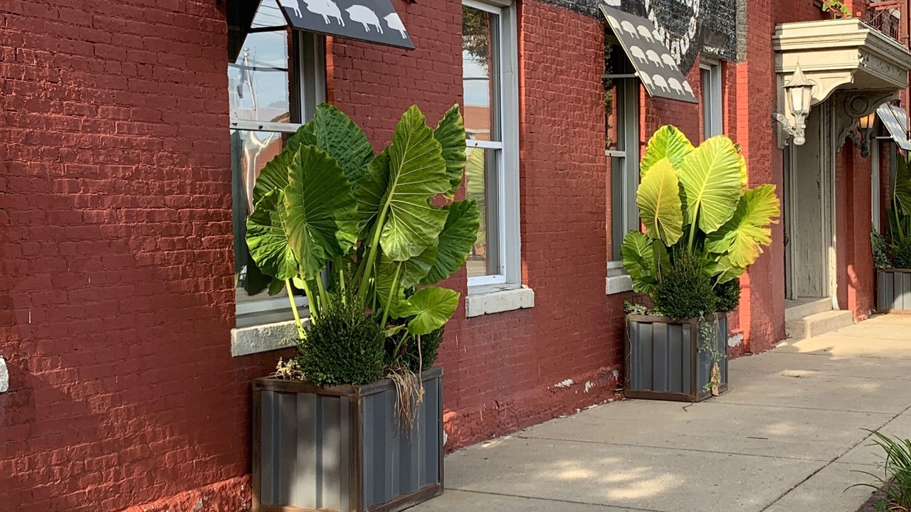 Photo of Outdoor in Butchertown