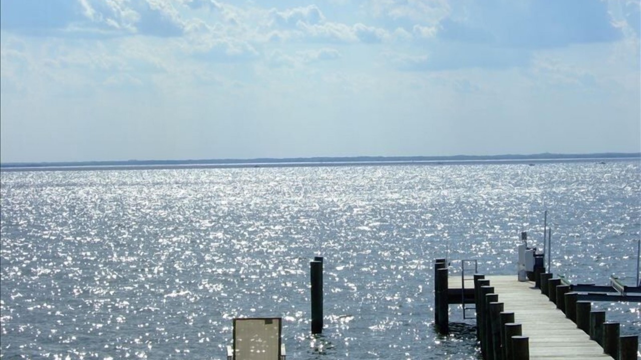Photo of Others in Stevensville