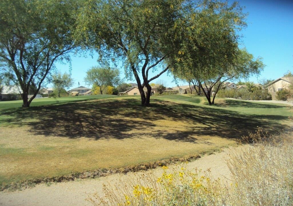 Photo of Others in San Tan Valley