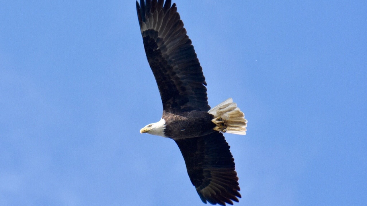 Photo of Others in Chesapeake Ranch Estates-Drum Point