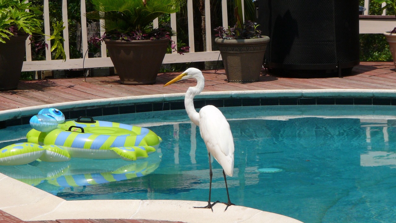 Photo of Outdoor in Seabrook Island