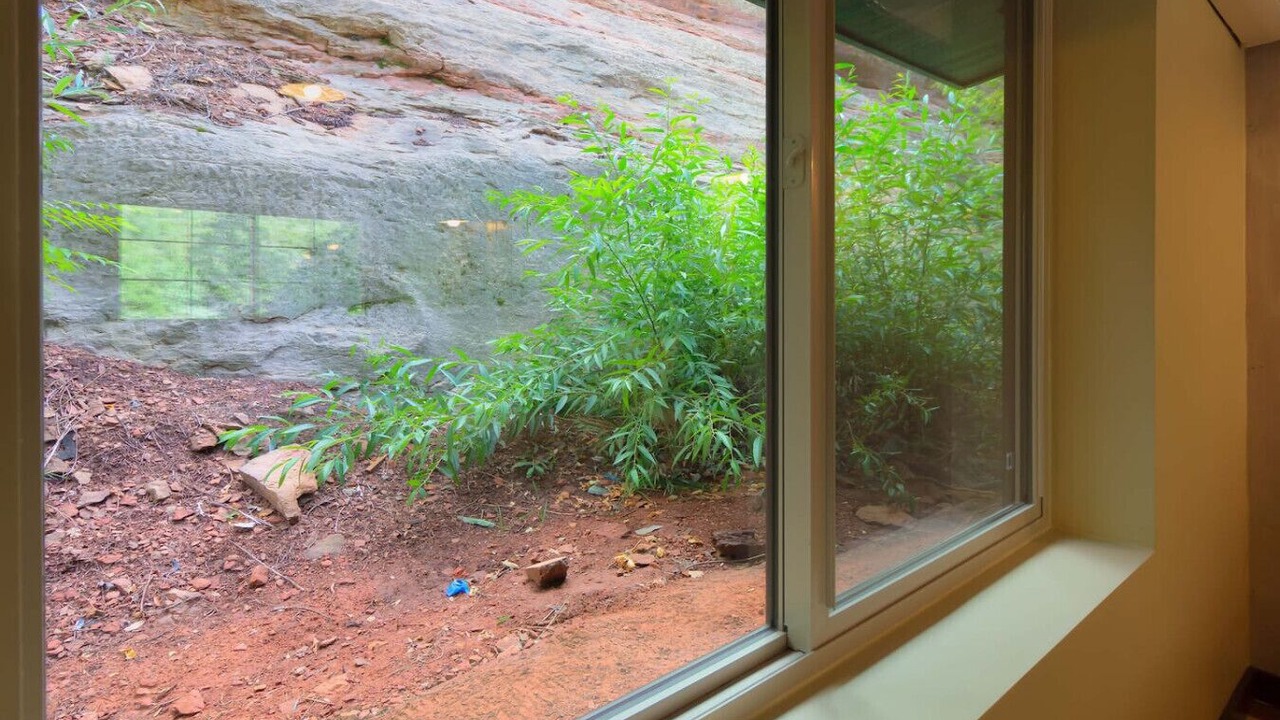 Photo of Others in Sedona