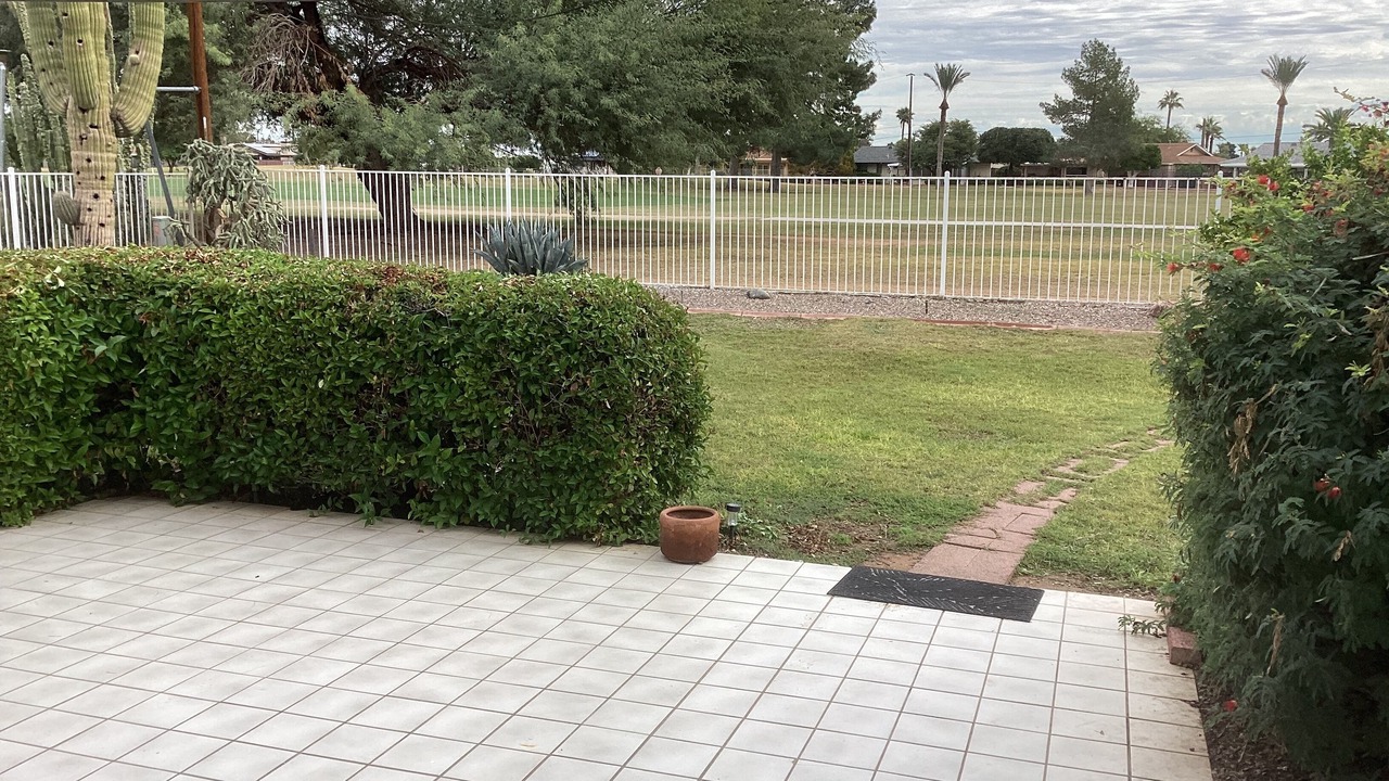 Photo of Outdoor in Sun City