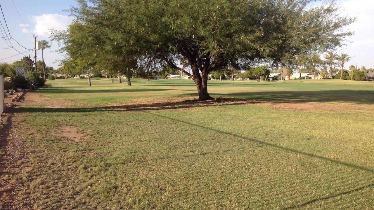 Photo of Others in Sun City