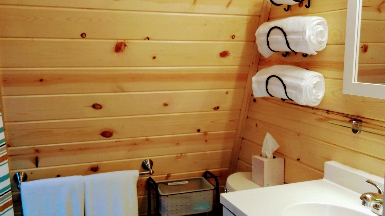 Photo of Bathroom in Island Park