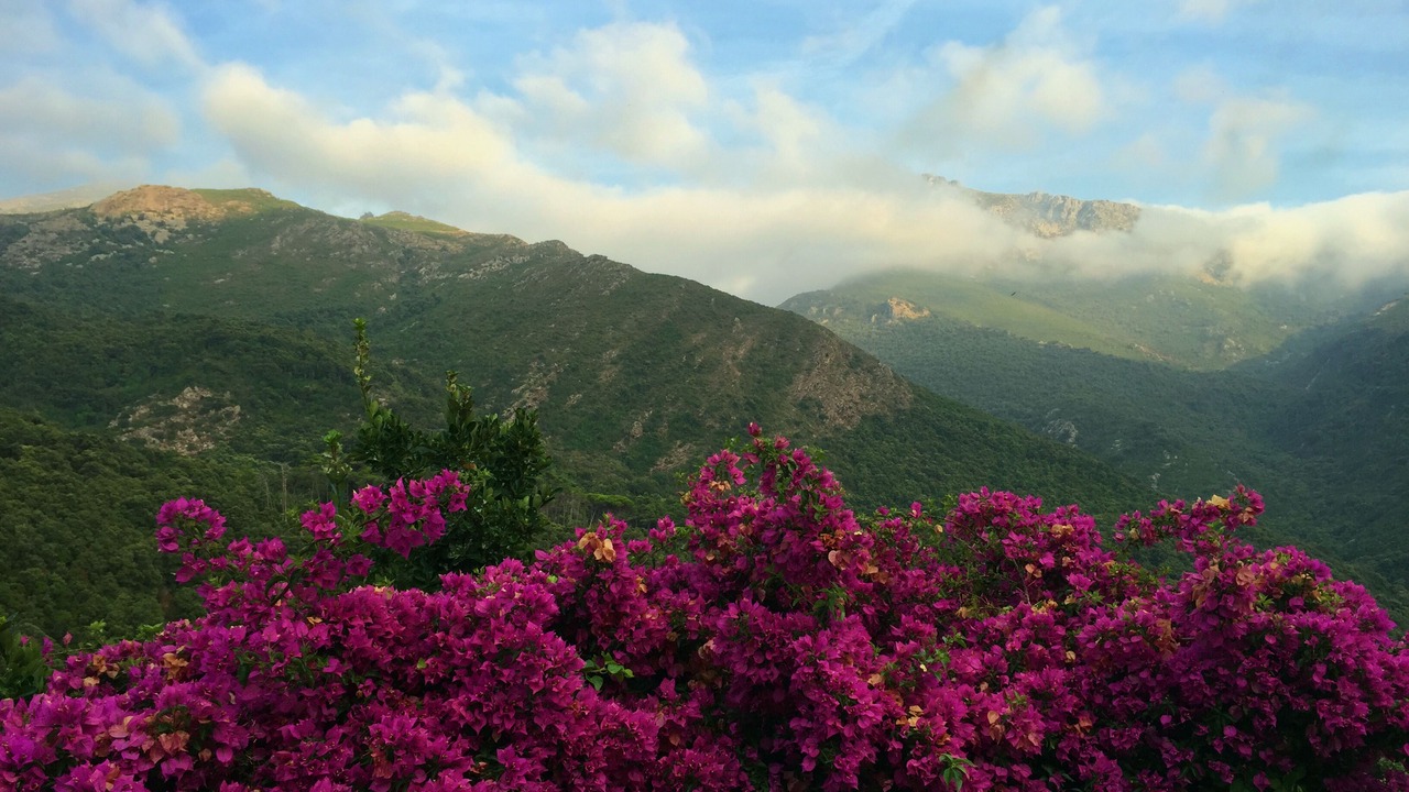 Photo of Outdoor in Conchiglio