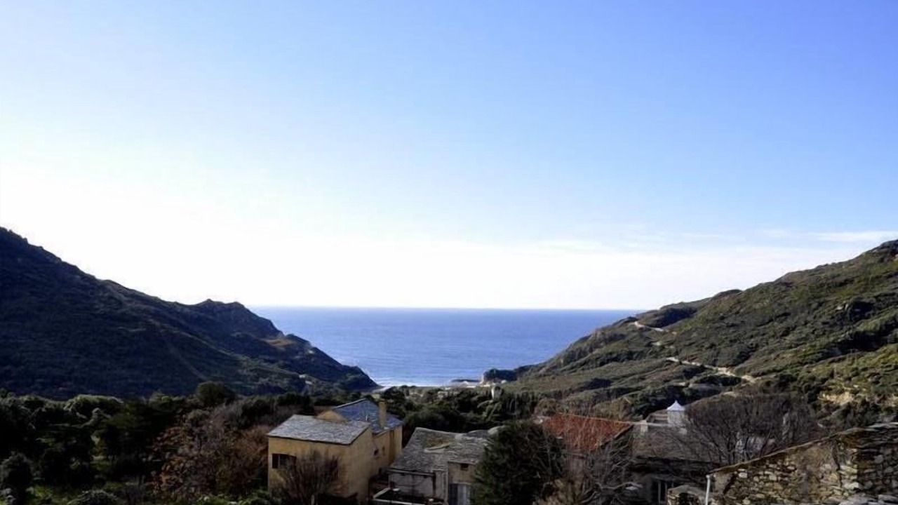 Photo of Others in Conchiglio