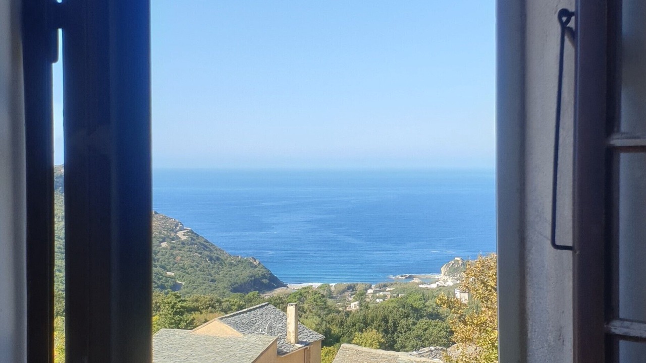 Photo of Others in Conchiglio