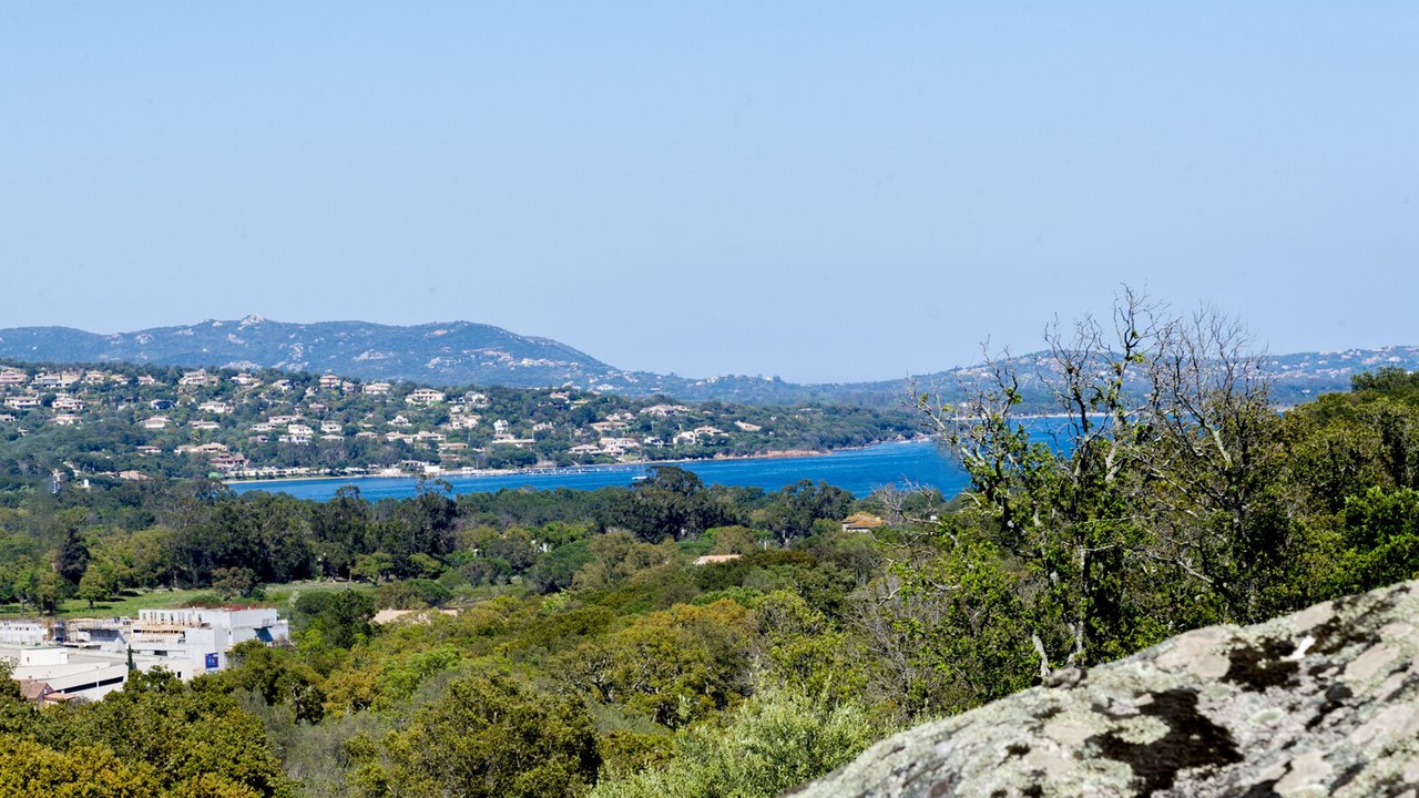 Photo of Others in Porto-Vecchio