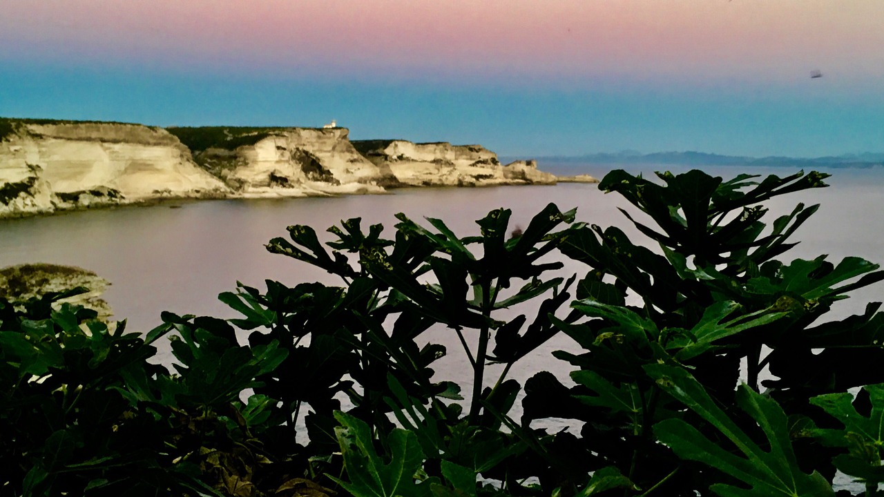Photo of Others in Bonifacio