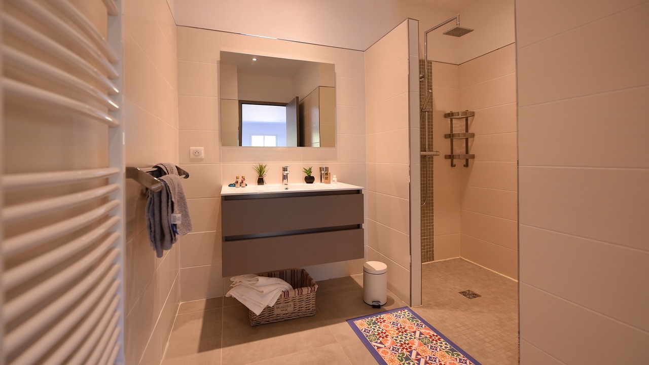 Photo of Bathroom in Olmeto