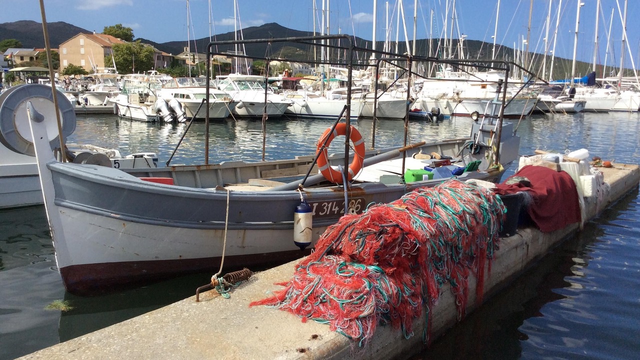 Photo of Others in L'Ile-Rousse