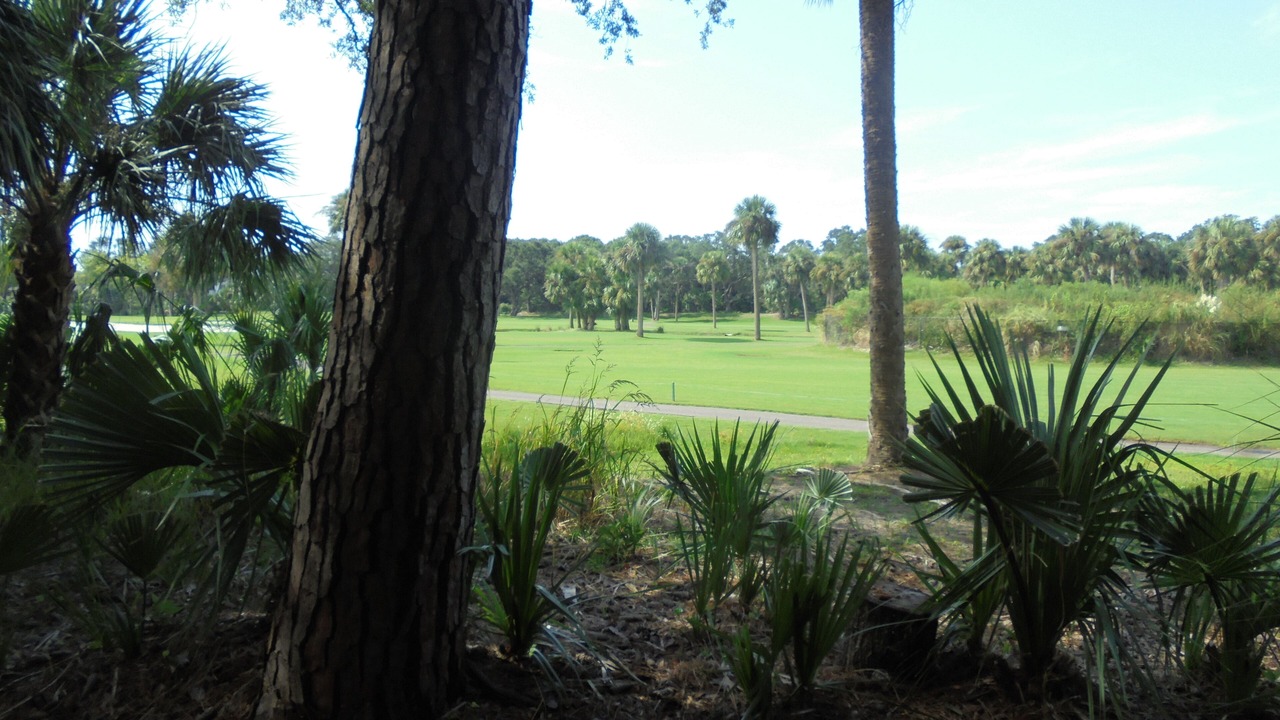 Photo of Others in Ocean Ridge