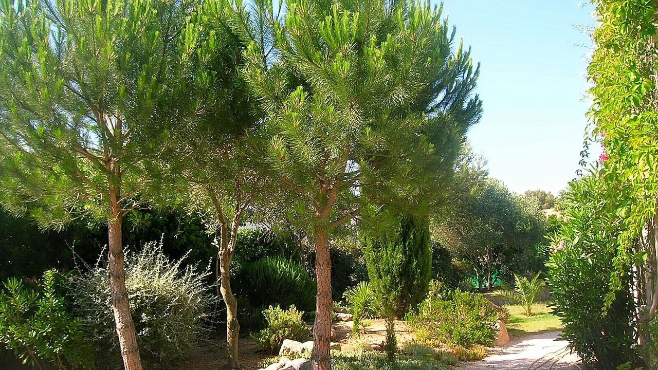 Photo of Outdoor in Marine de Saint Ambroggio