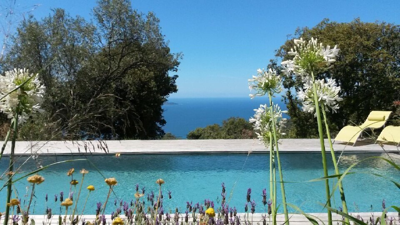 Photo of Outdoor in Olmeto