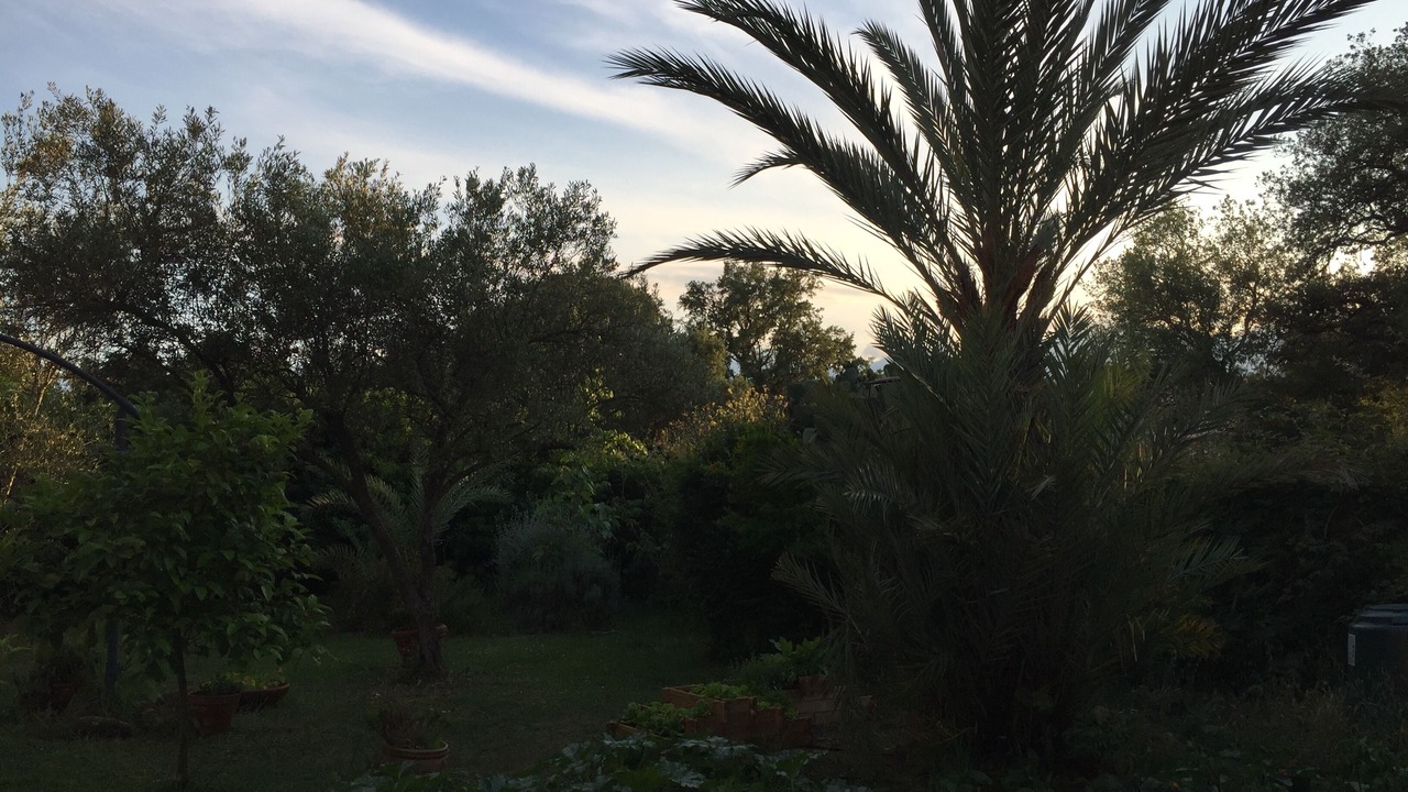 Photo of Outdoor in Ghisonaccia