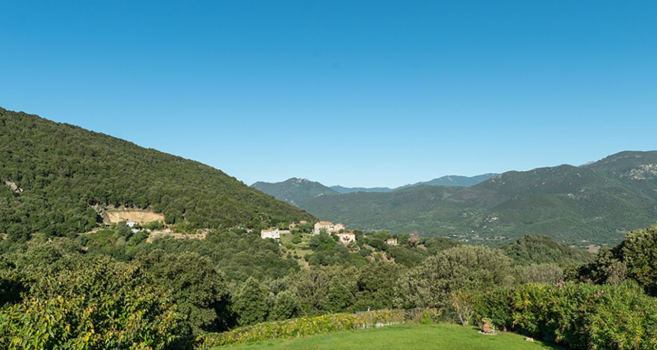 Photo of Others in Sainte-Lucie-de-Tallano