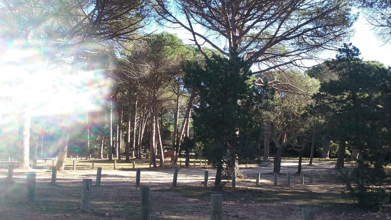 Photo of Outdoor in Hameau de Palombaggia