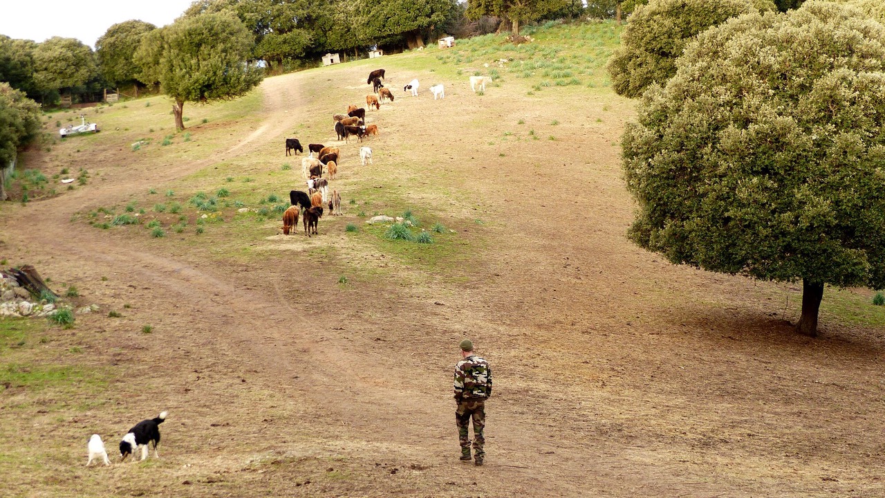 Photo of Others in Cargese