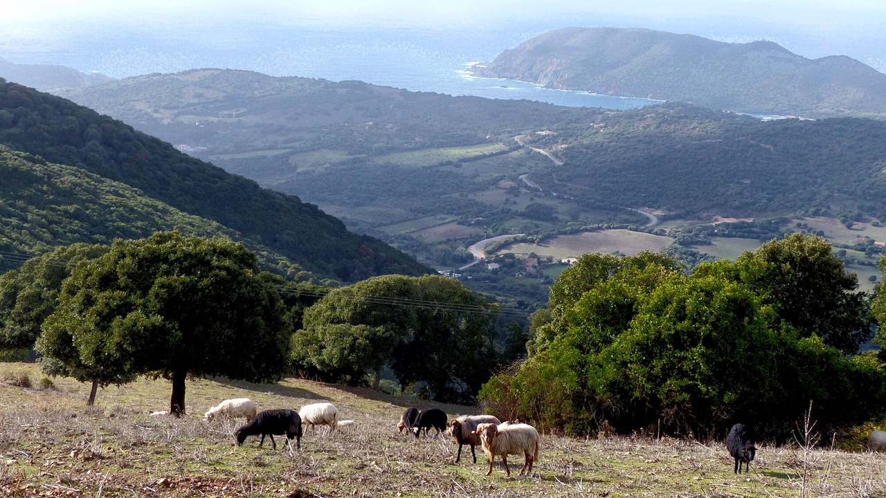 Photo of Outdoor in Cargese