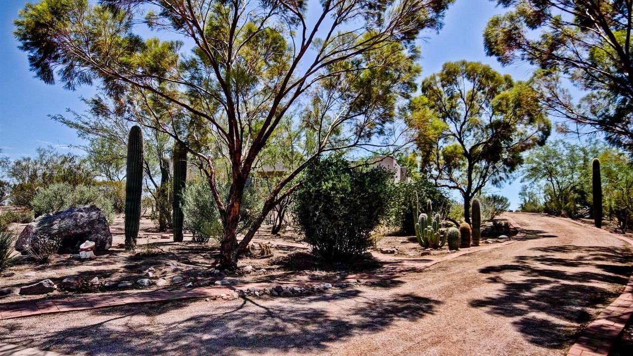 Photo of Others in Mesa del Oro