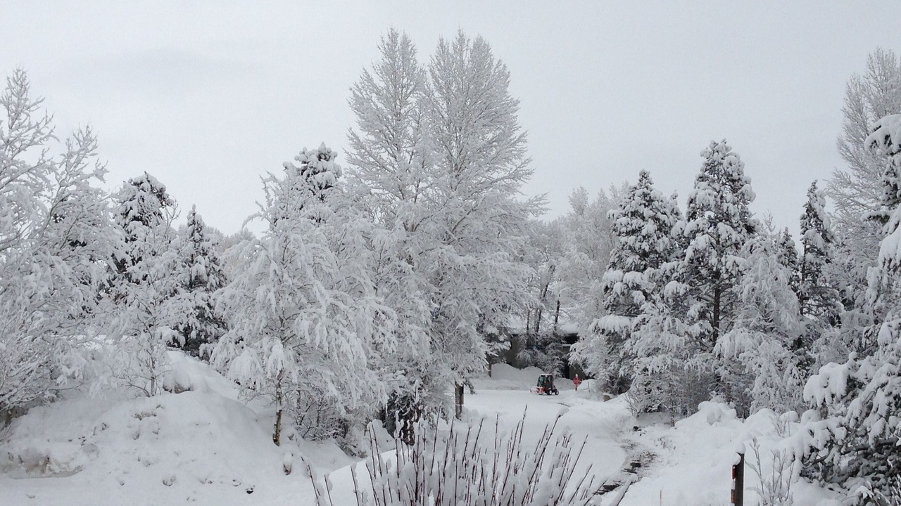 Photo of Others in Moose Wilson Road