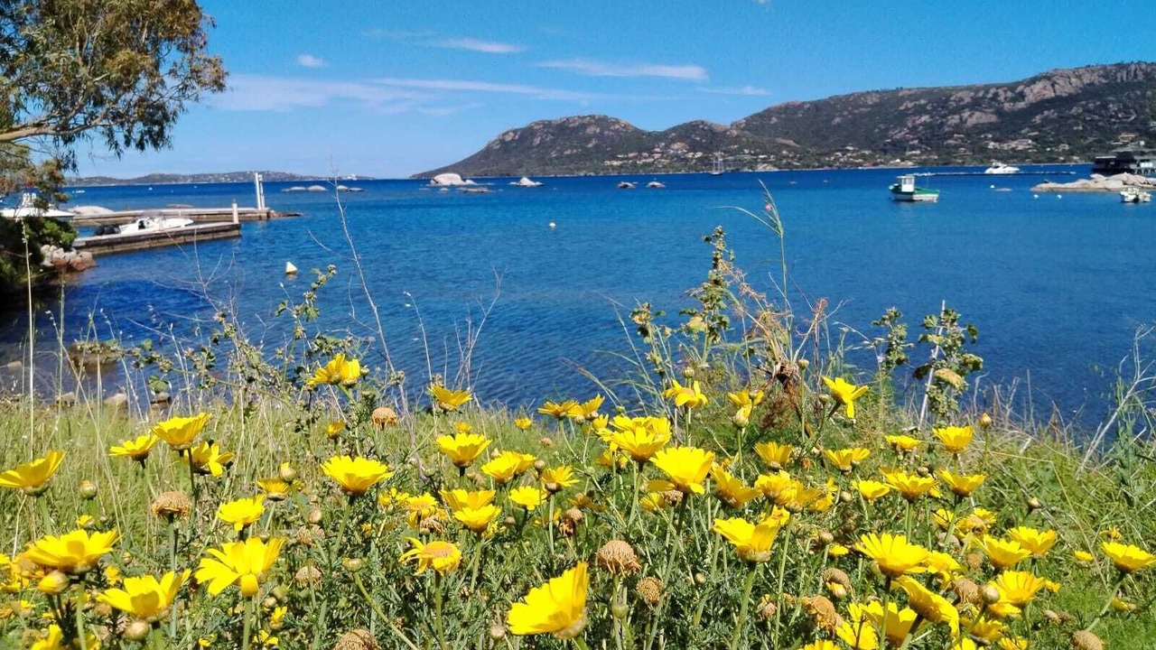 Photo of Bathroom in Porto-Vecchio