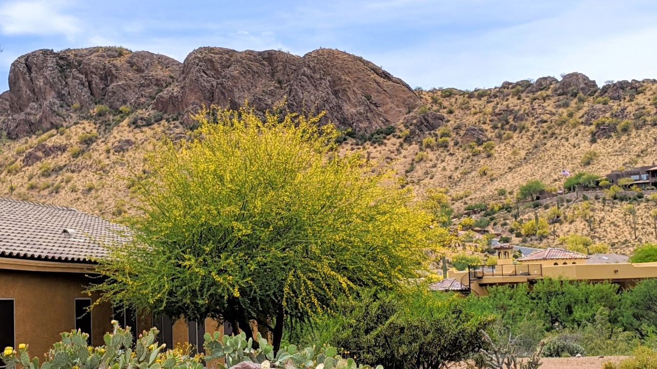 Photo of Others in Gold Canyon