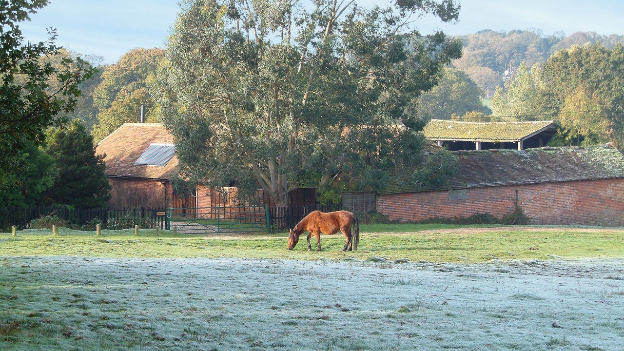 Photo of Others in New Forest District