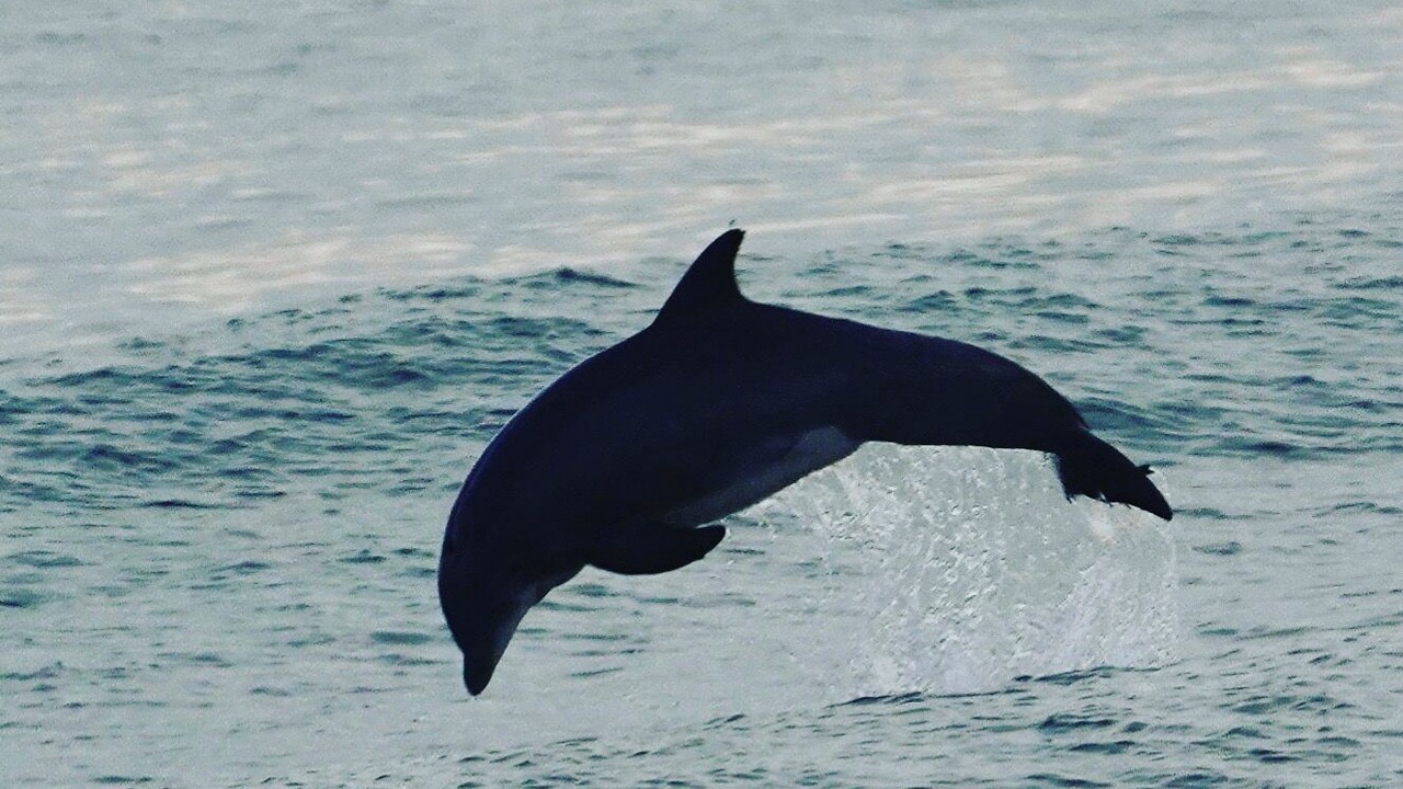 Photo of Others in Ocean Ridge