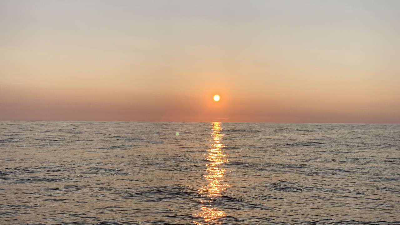 Photo of Others in Ocean Ridge